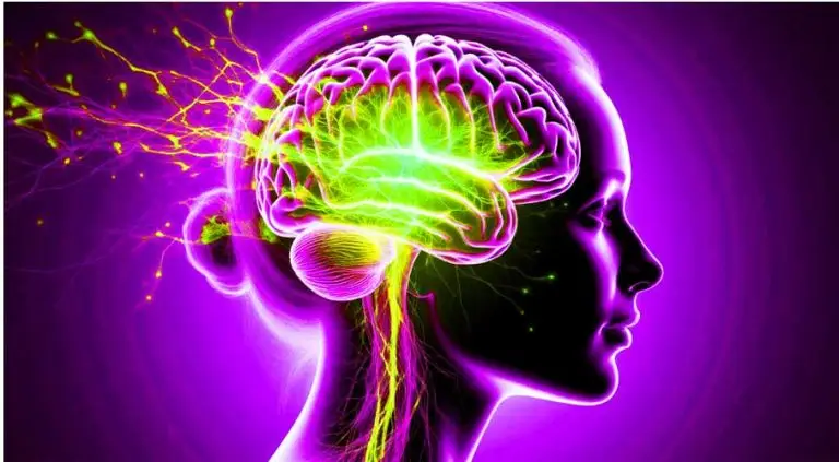 беременность уникально и необратимо меняет структуру мозга