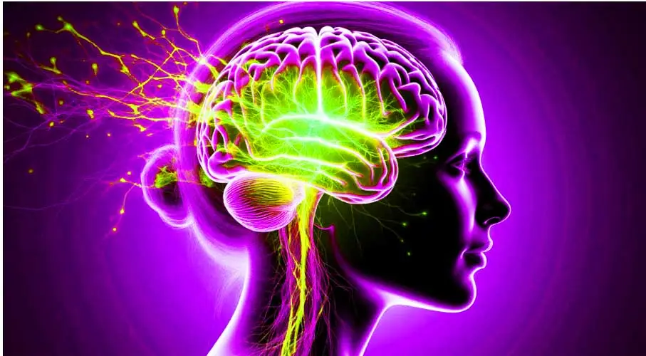 беременность уникально и необратимо меняет структуру мозга